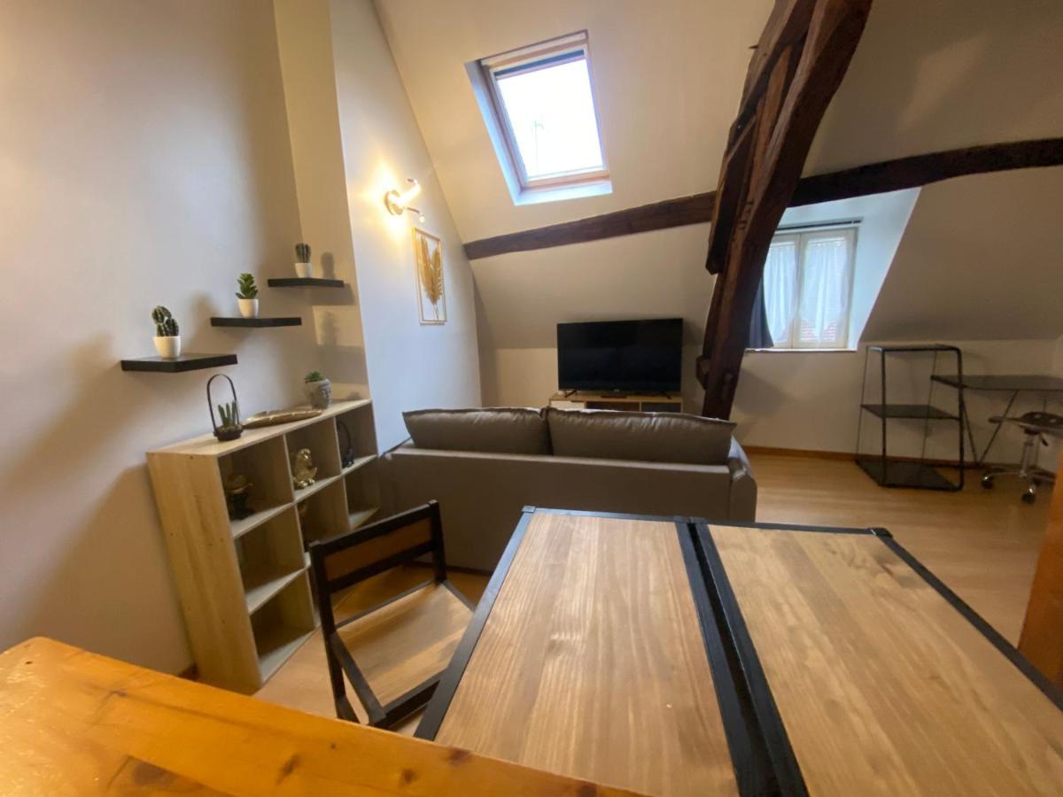 Le Puits Du Bourg Apartment Nevers Exterior photo