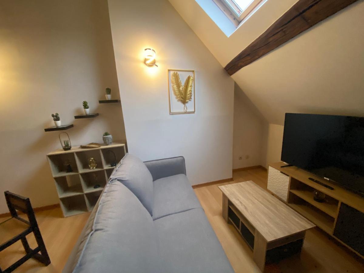 Le Puits Du Bourg Apartment Nevers Exterior photo