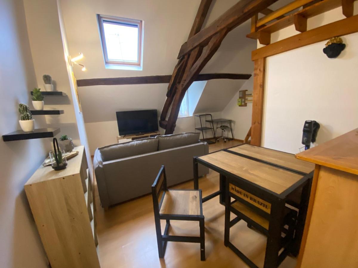 Le Puits Du Bourg Apartment Nevers Exterior photo