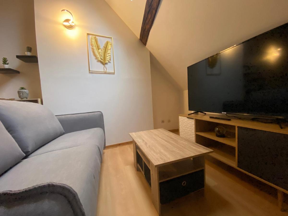 Le Puits Du Bourg Apartment Nevers Exterior photo